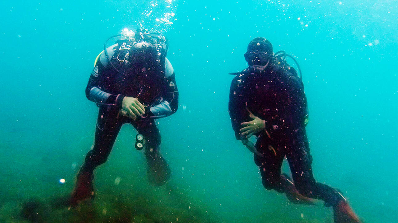 premier fire scuba divers underwater